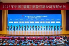 入及培育新质出产力细分范畴规上、高新、专精